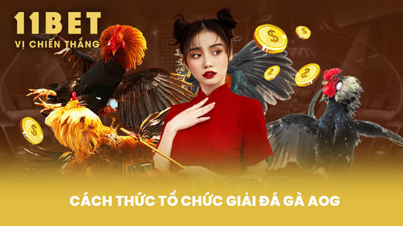 Cách Thức Tổ Chức Giải Đá Gà AOG