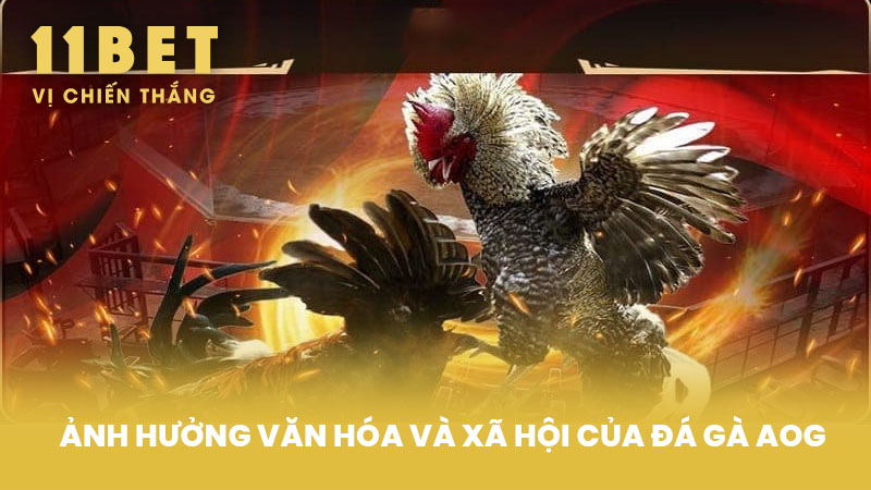 Ảnh Hưởng Văn Hóa Và Xã Hội Của Đá Gà AOG