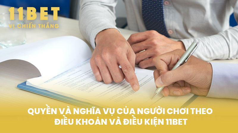 Quyền Và Nghĩa Vụ Của Người Chơi Theo Điều Khoản Và Điều Kiện 11BET
