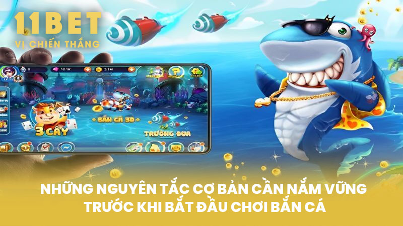 Những Nguyên Tắc Cơ Bản Cần Nắm Vững Trước Khi Bắt Đầu Chơi Bắn Cá