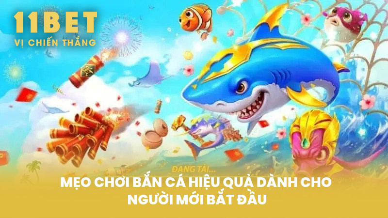 Mẹo Chơi Bắn Cá Hiệu Quả Dành Cho Người Mới Bắt Đầu