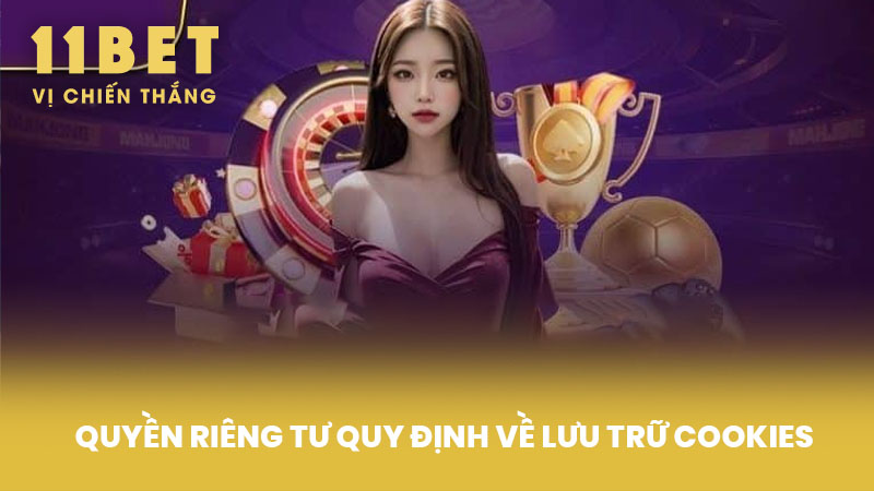 Quyền riêng tư quy định về lưu trữ cookies