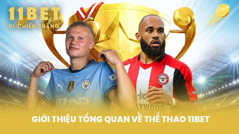 Giới thiệu tổng quan về Thể Thao 11BET