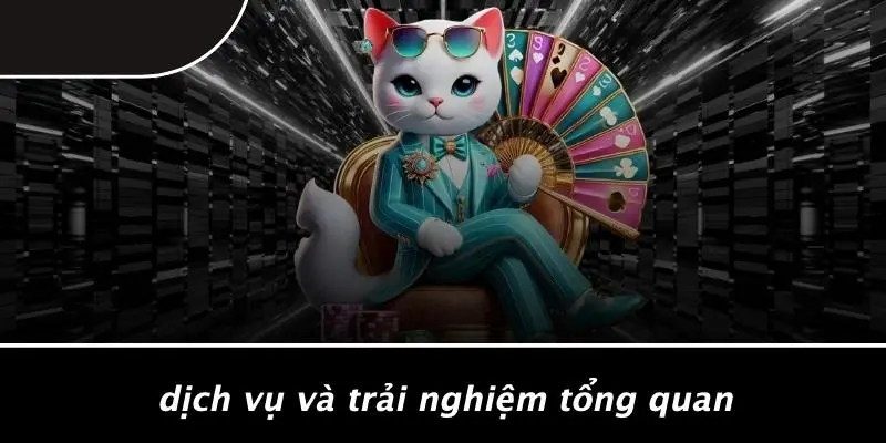 Dịch Vụ Và Trải Nghiệm Tổng Quan